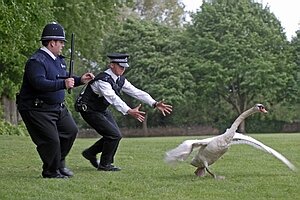    (Hot Fuzz)